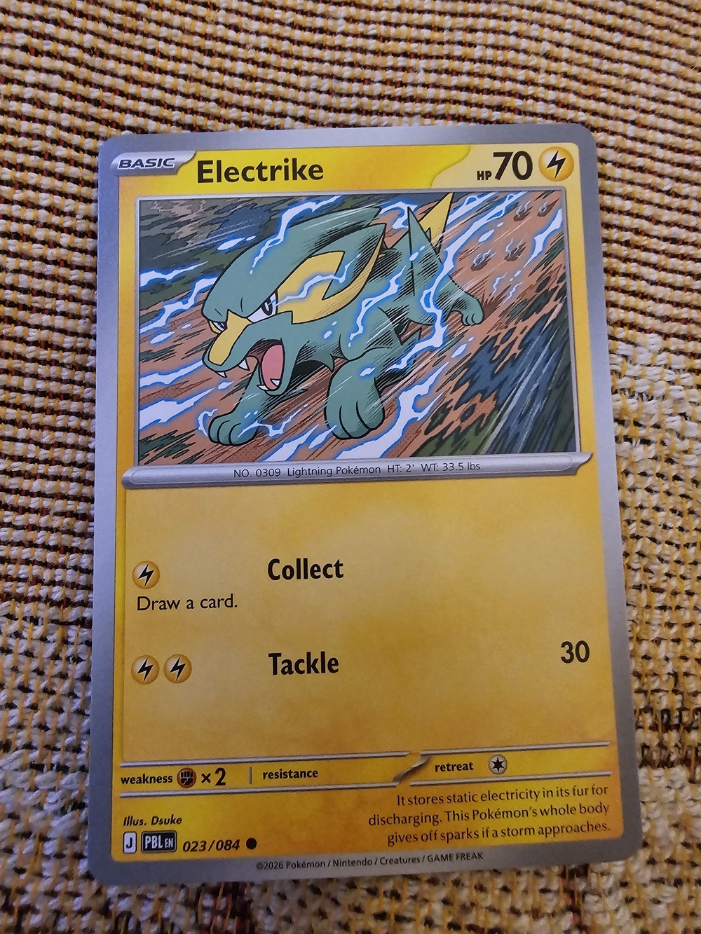Electrike common card (023/084) from the Pokémon TCG expansion Pitch Black (PBL)